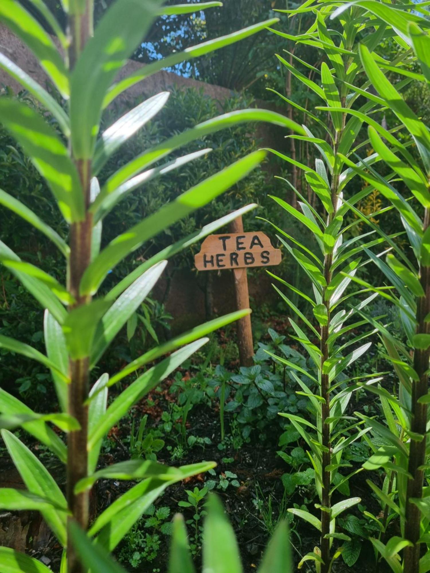 Abrigo Da Serra- Nature Trails Villa ซานตานา ภายนอก รูปภาพ